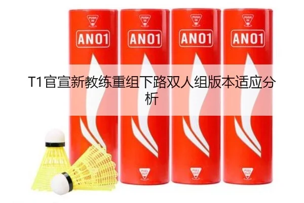 guan-xuan-xin-jiao-lian-chong-zu-xia-lu-shuang-ren-zu-ban-ben-shi-ying-fen-xi-3-403.jpg